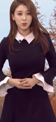 논란의 MBC기상캐스터 4명 프로필