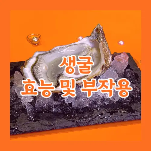 생굴 효능 및 부작용