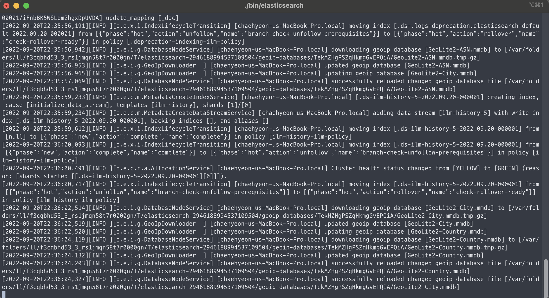 (4) - ElasticSearch 실행