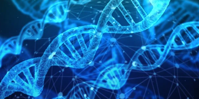 파란색 DNA 구조의 그래픽 이미지, 개와 사람의 유전적 유사성을 상징적으로 표현한 모습