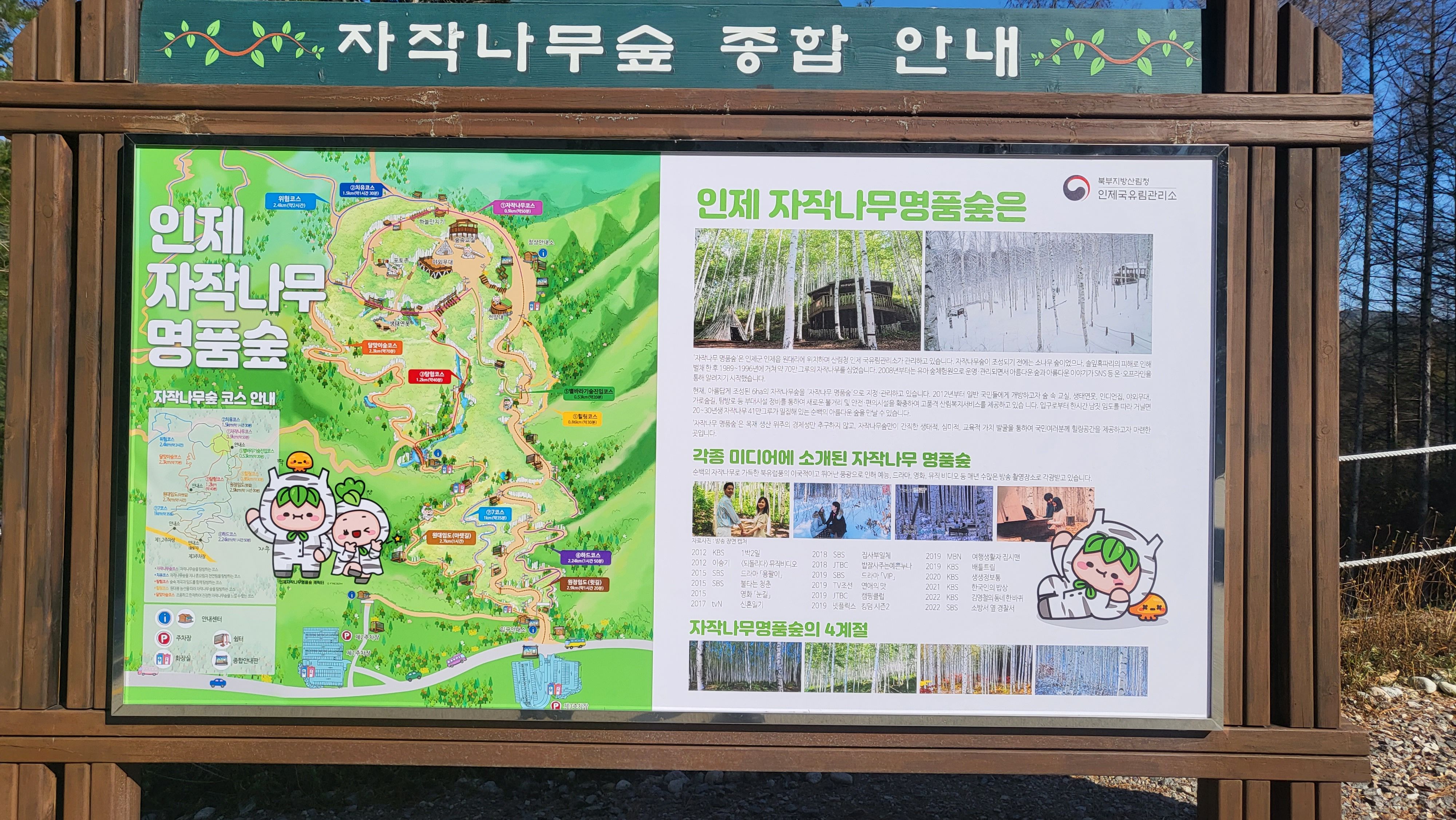 자작나무 숲 입구