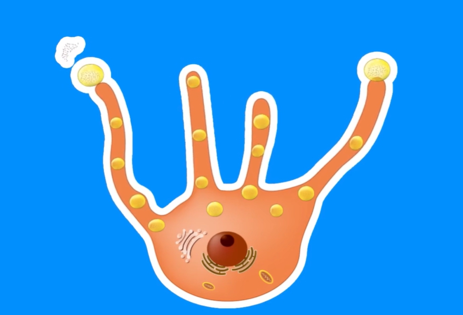 발톱이 검게 변하는 이유