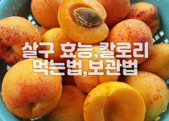 살구가 바구니에 담겨져 있다