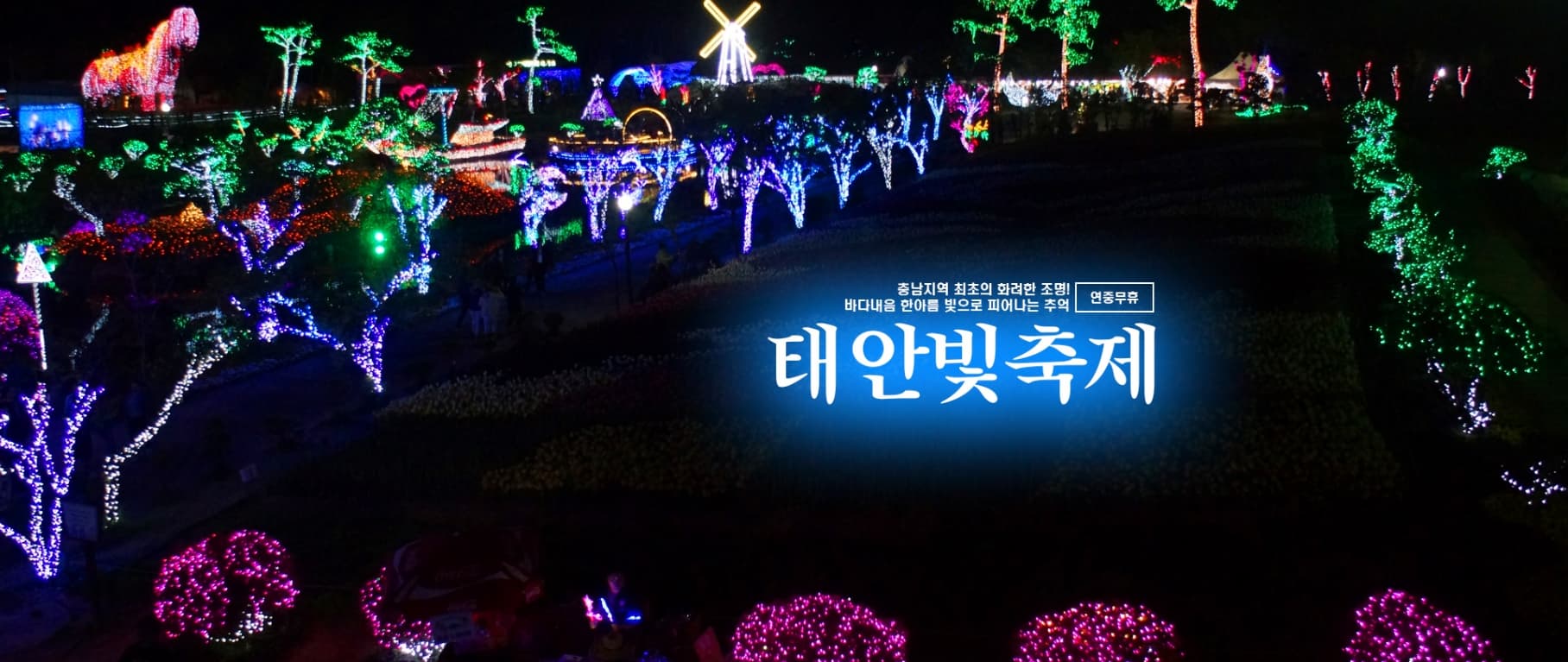 [지역 축제]태안 빛축제｜낮엔 꽃구경, 밤엔 불빛 나들이