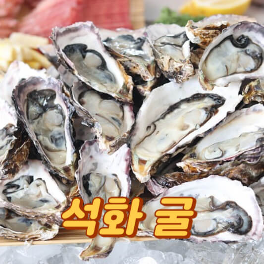 석화 굴