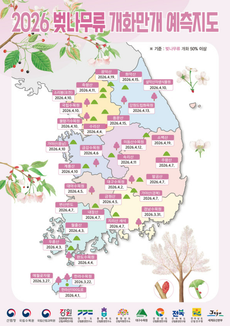 2026 벚나무류 벚꽃 개화시기 만개일 안내지도