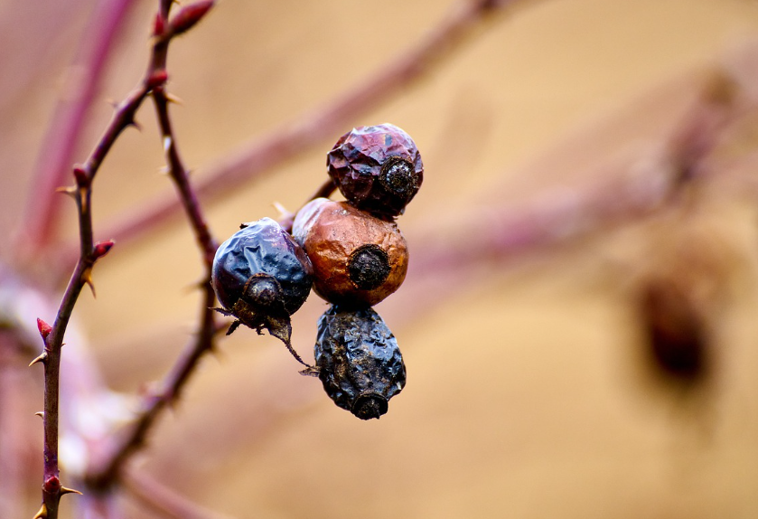 예전보다 회복이 느려졌다면, 그건 정상일까?