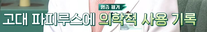 대마종자유