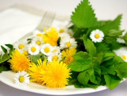 양평 용문산 산나물 축제