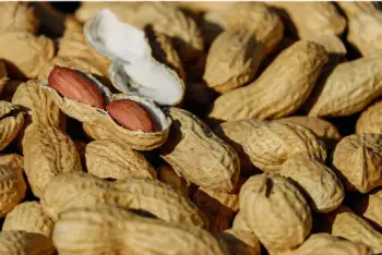 땅콩 효능 및 영양성분&amp;#44; 부작용