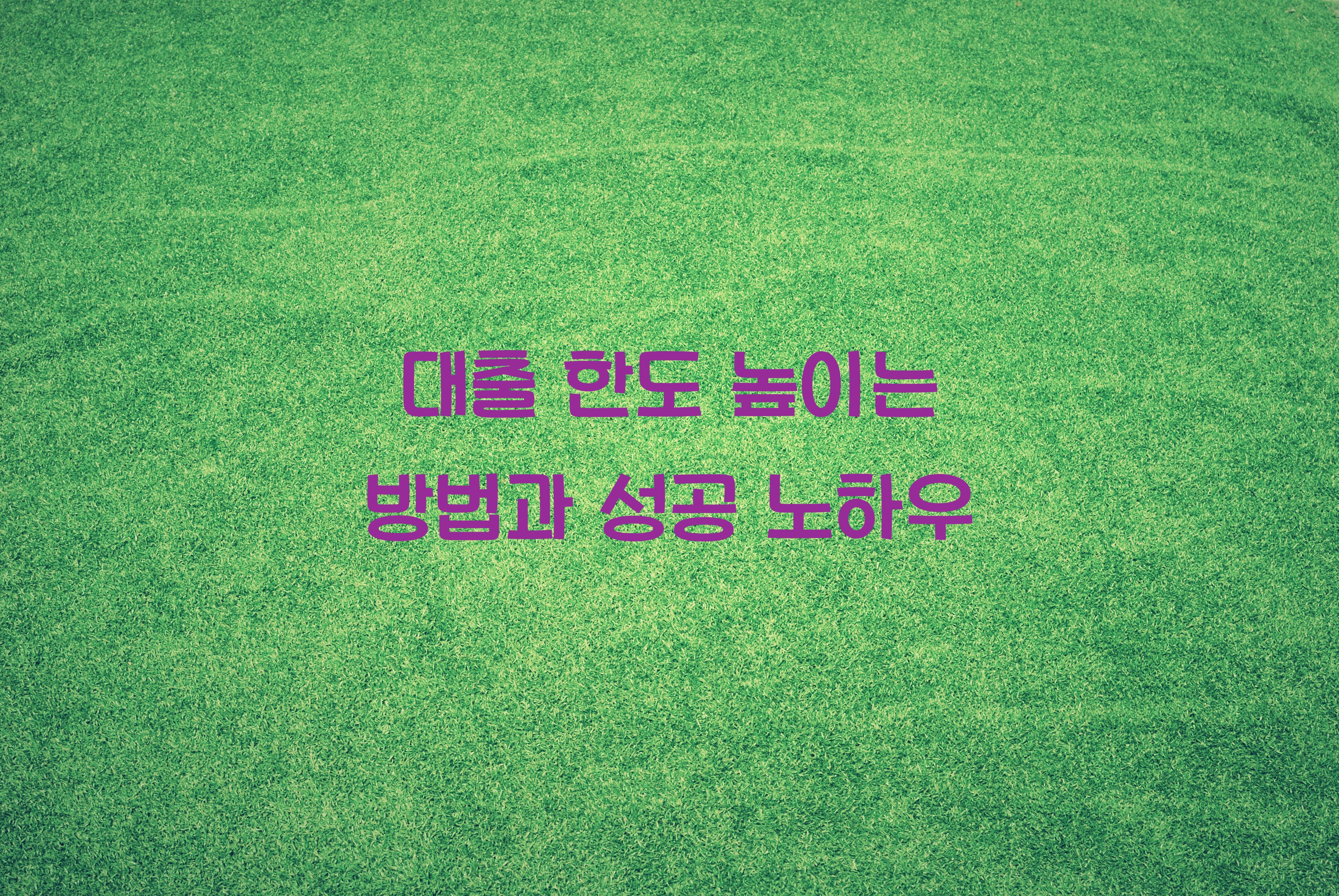 대출 한도 높이는 방법