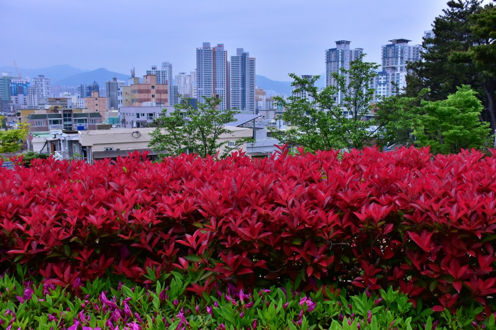 연제문화체육공원