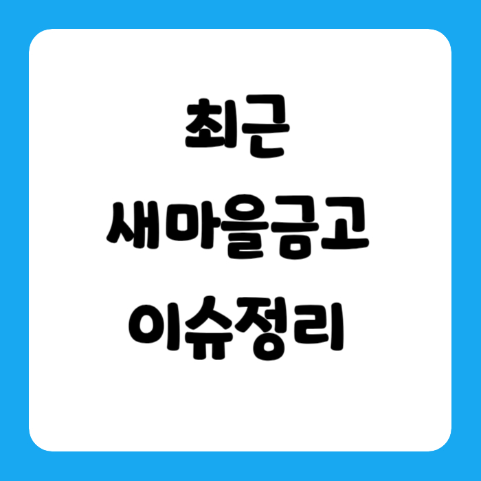 새마을금고부실
