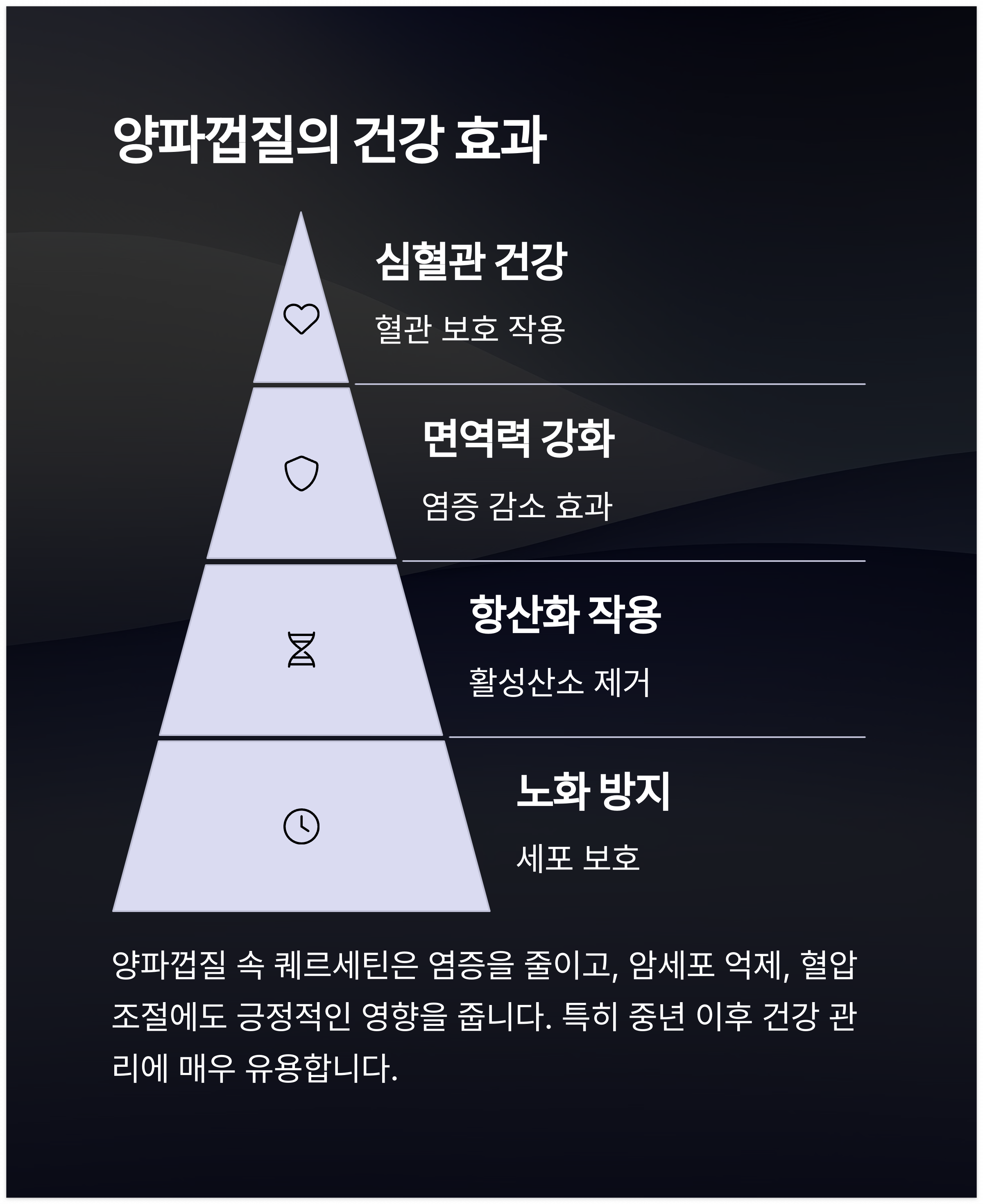 양파껍질의 건강 효과