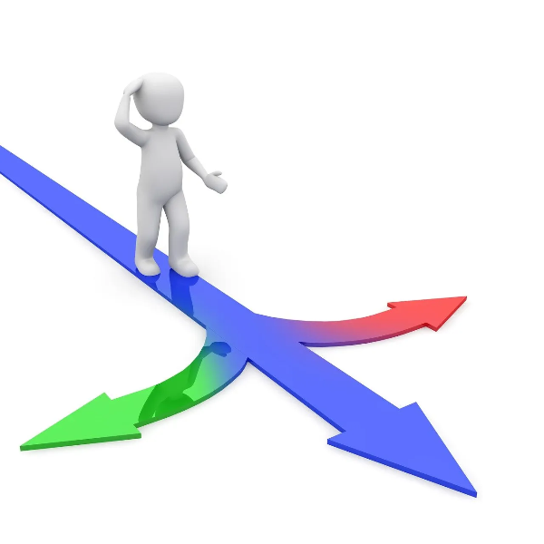 선택의 무게: 인간의 자유의지는 착각인가, 현실인가?