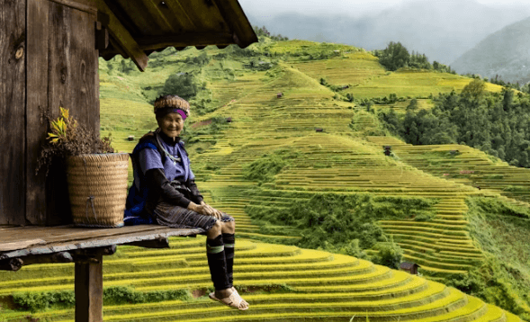 베트남 여행 완벽 가이드: 처음이라면 필수!