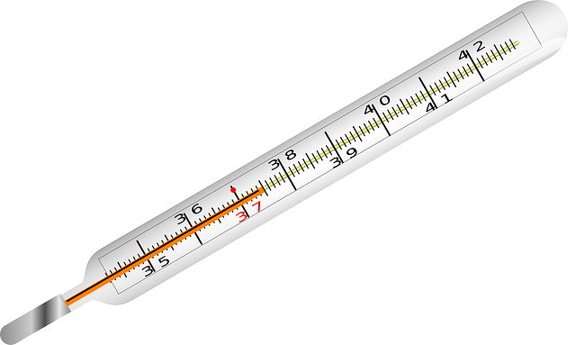 수은(Hg)의 물리적·화학적 특성, 전자 구조, 상대론적 효과, 활용과 독성