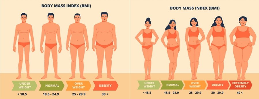 BMI 수치를 통해 남녀의 수척한 사람, 정상적인 사람, 약간의 비만, 고도 비만을 구분한 이미지 사진