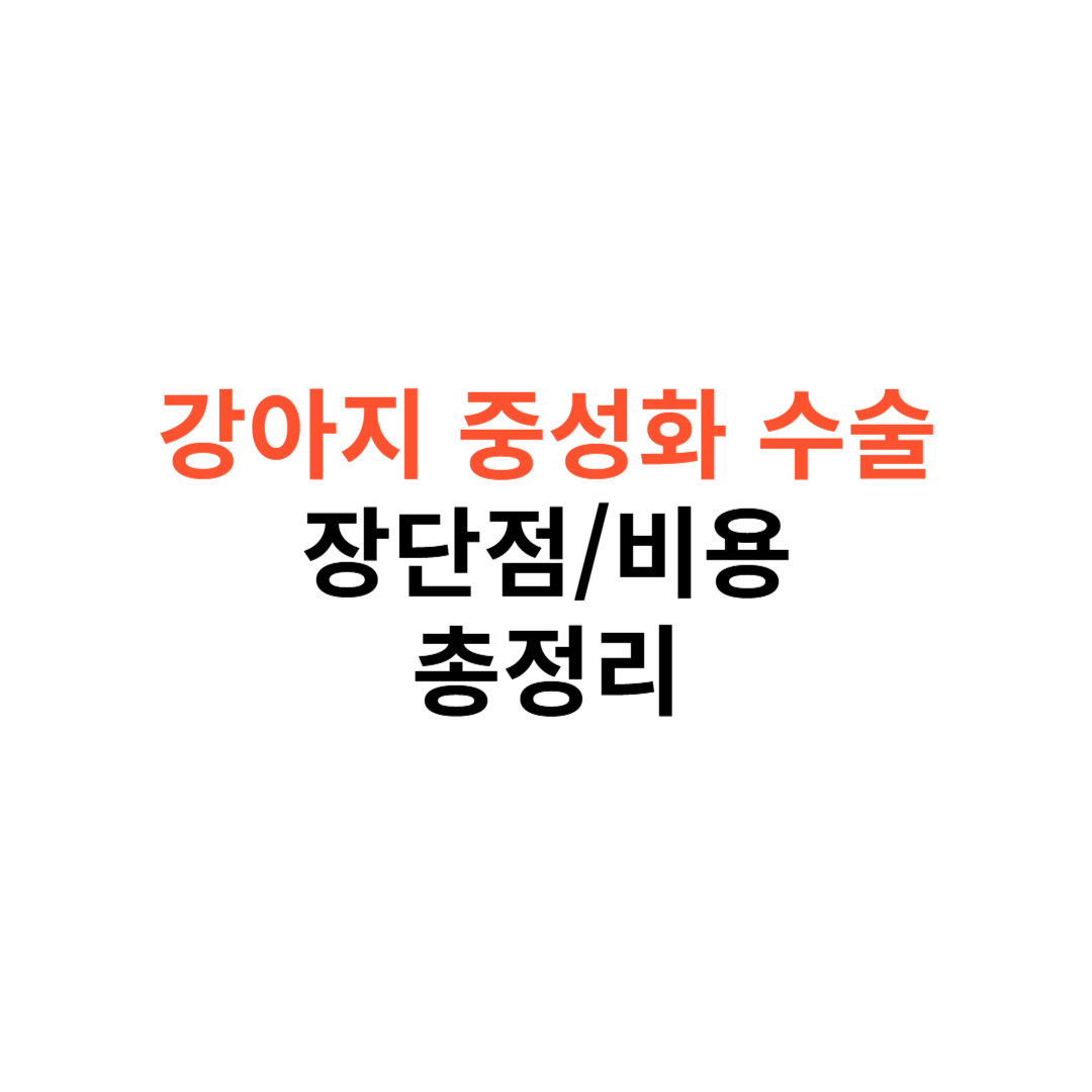 강아지 중성화 수술