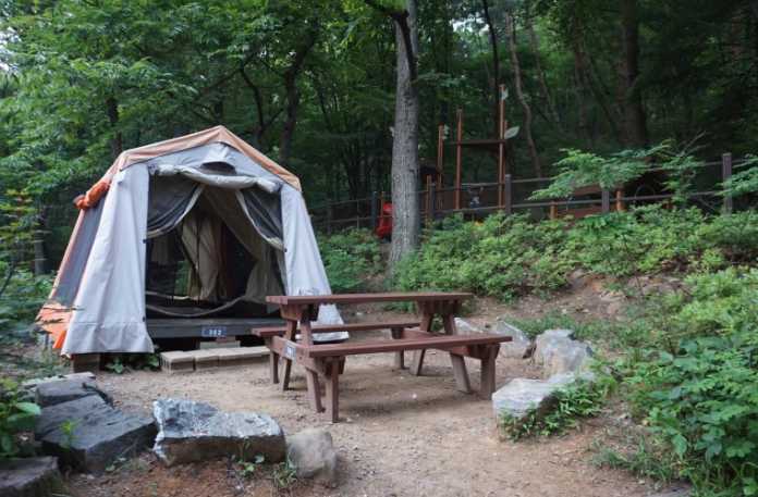 서울대공원 캠핑장 예약