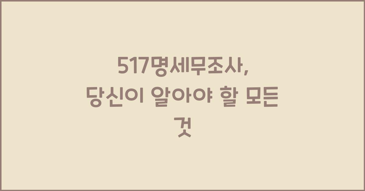 517명세무조사