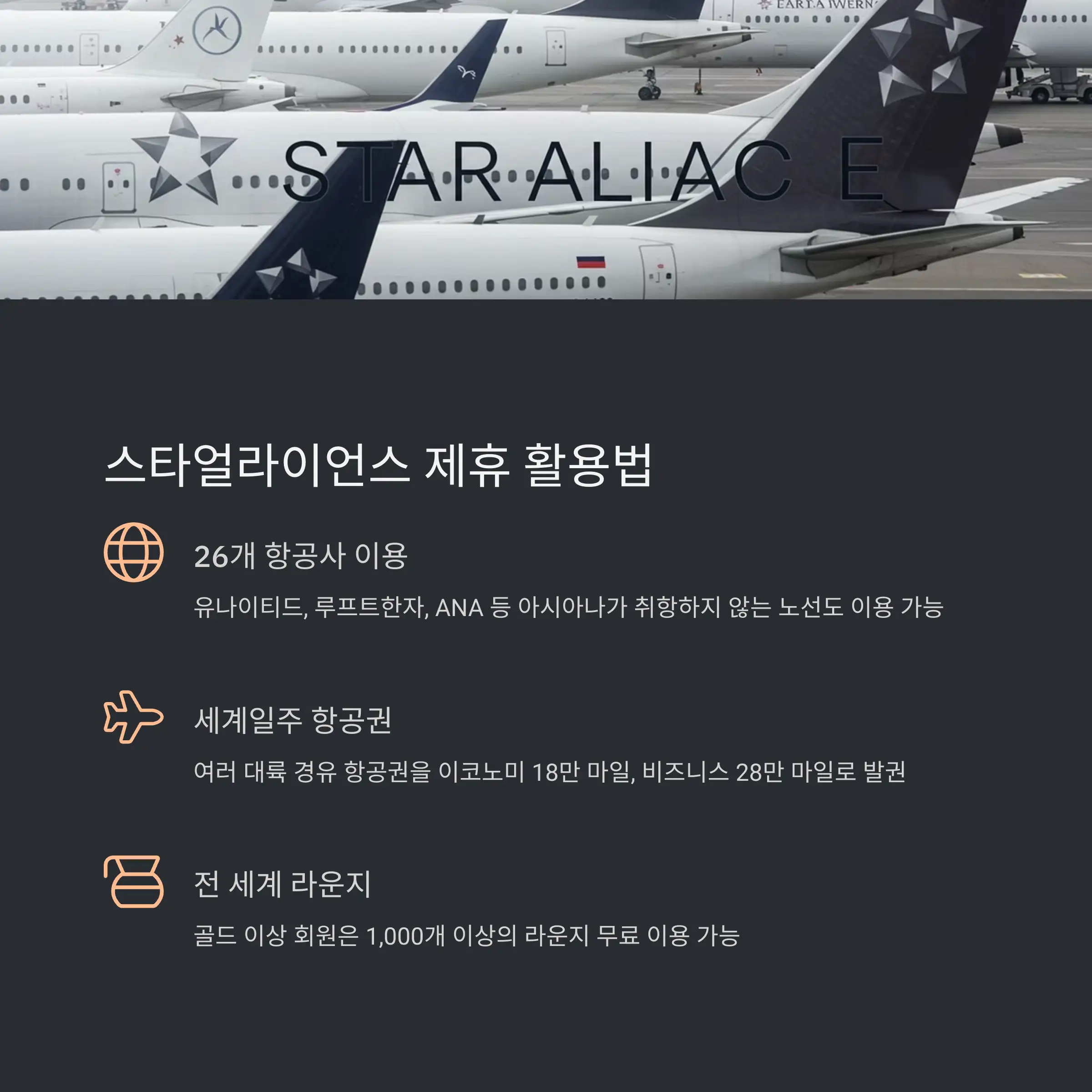 🌟 스타얼라이언스 활용법