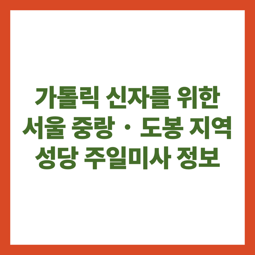 가톨릭 신자를 위한 서울 중랑・도봉 지역 성당 주일미사 정보
