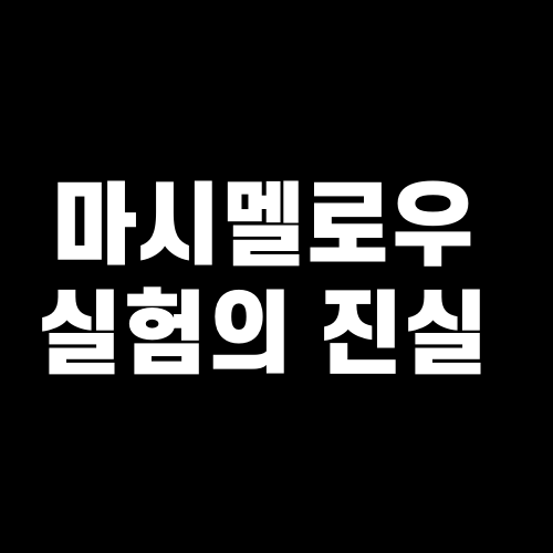 마시멜로우 실험의 진실