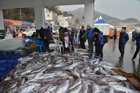 제 16회 거제 대구 수산물 축제