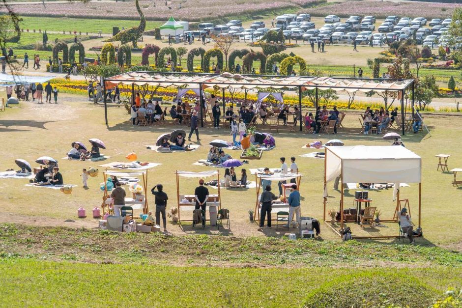 2024 화순 고인돌 꽃축제 기간&#44; 프로그램&#44; 공연&#44; 입장료&#44; 맛집