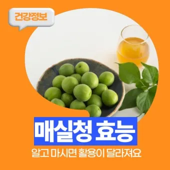 매실청 건더기 활용 처리 방법 정리_11