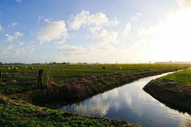 시골의 인간관계, 은퇴자는 어떻게 적응할까?