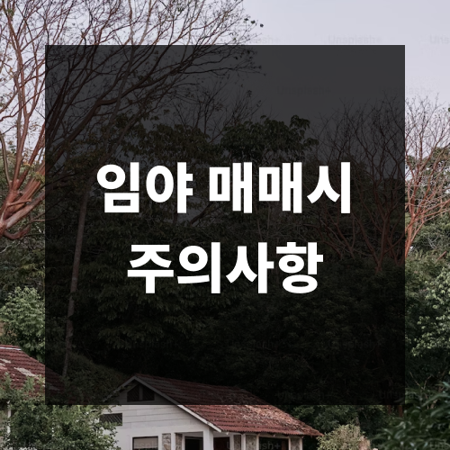 임야 매매시 주의사항에 대한 글 표지