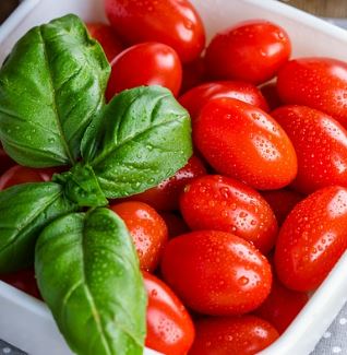 스테비아 방울토마토 효능 부작용 칼로리