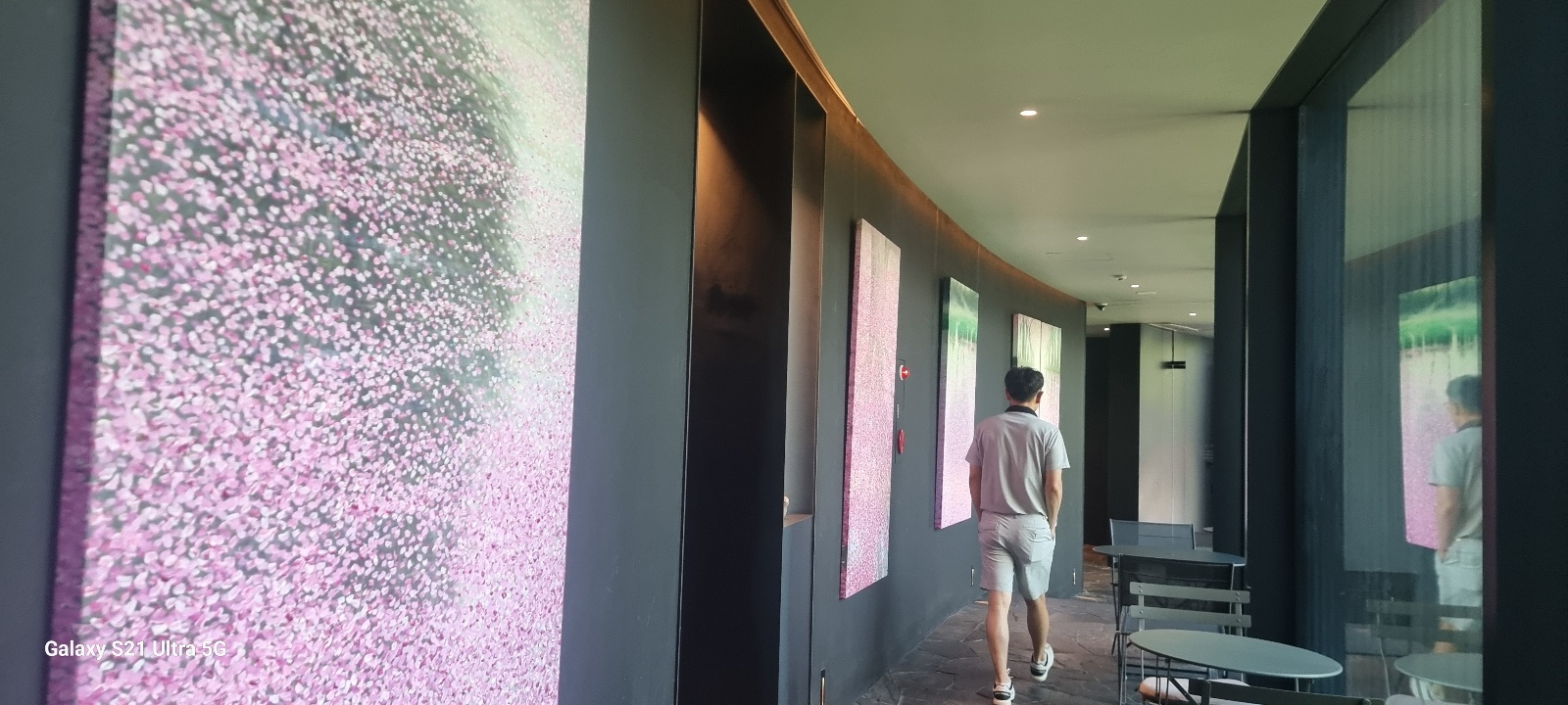 시호재 & 시차 그림전시