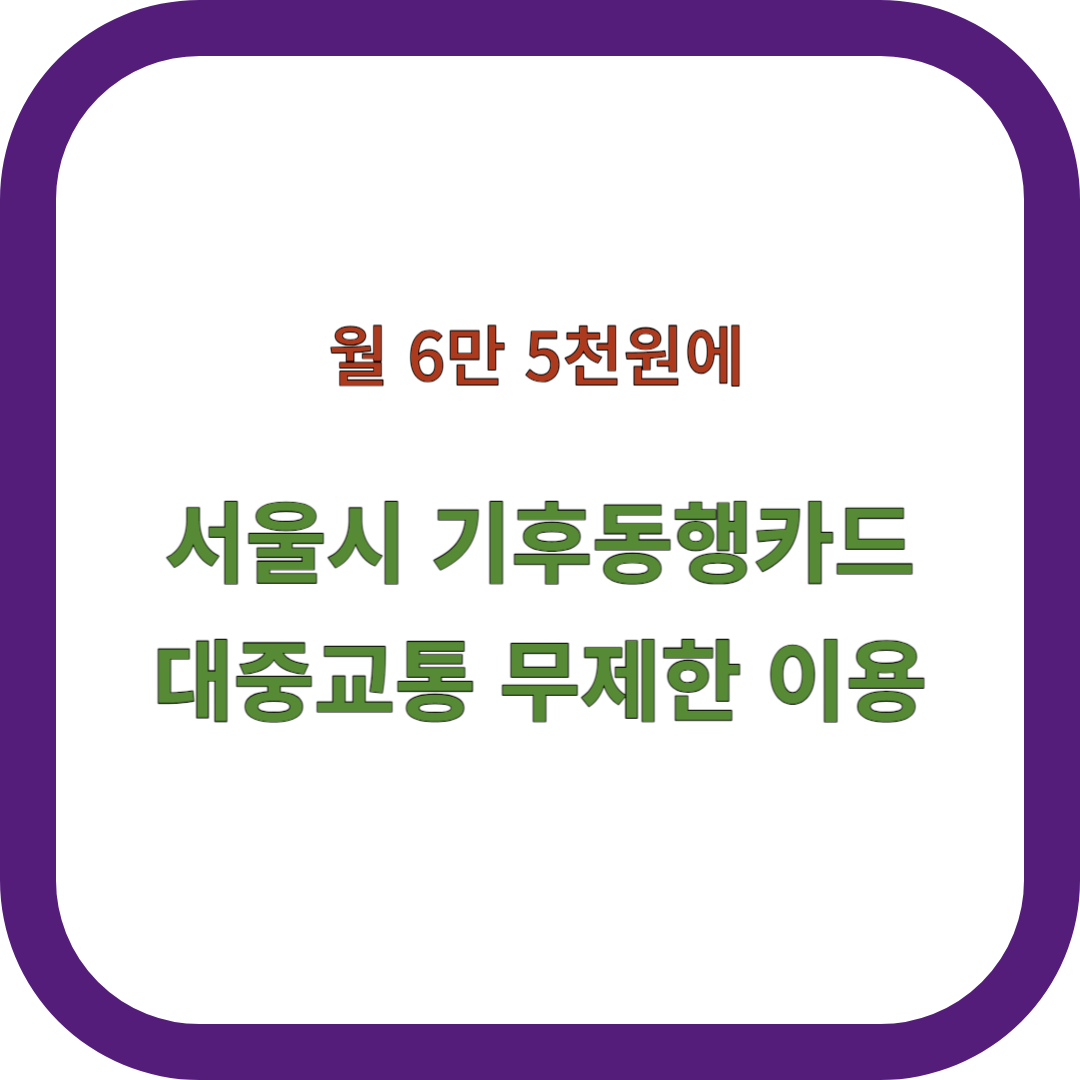 기후동행카드 썸네일