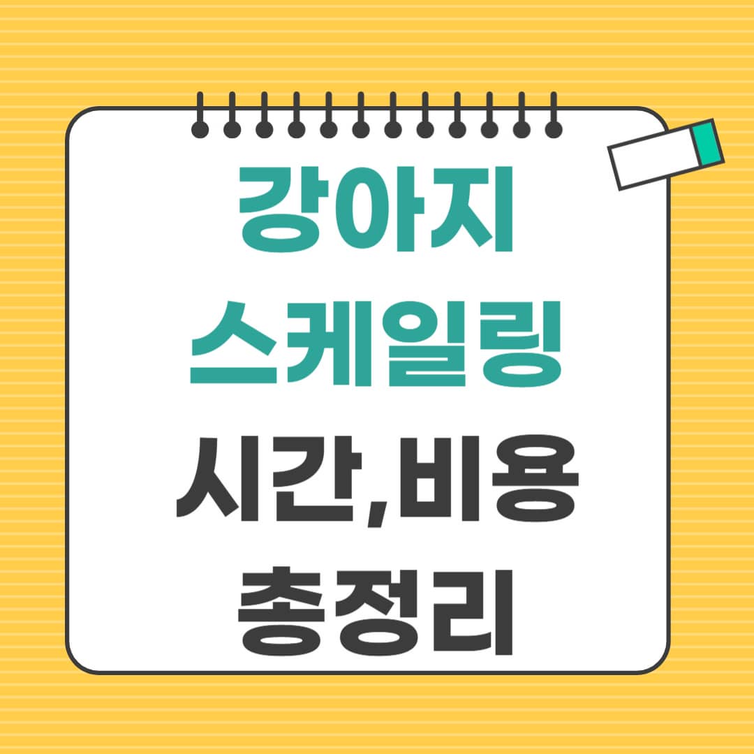 강아지스케일링 비용, 시간, 방법, 주의사항 총정리