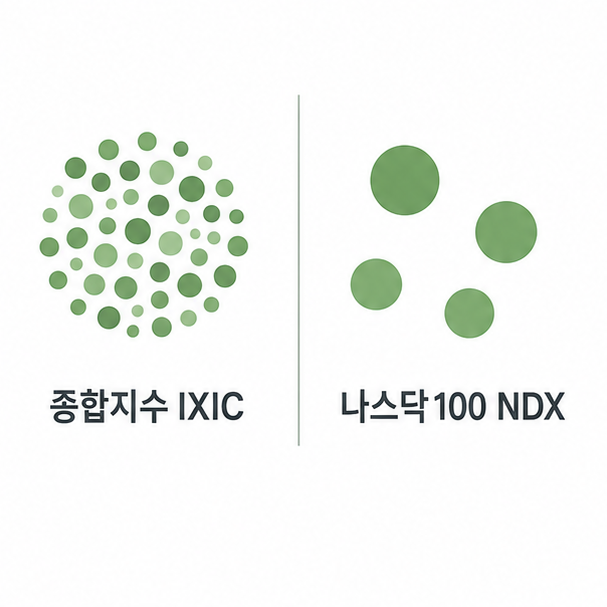 나스닥 종합지수와 100지수 차이