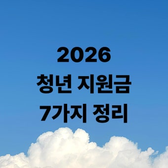 2026년 청년 지원금