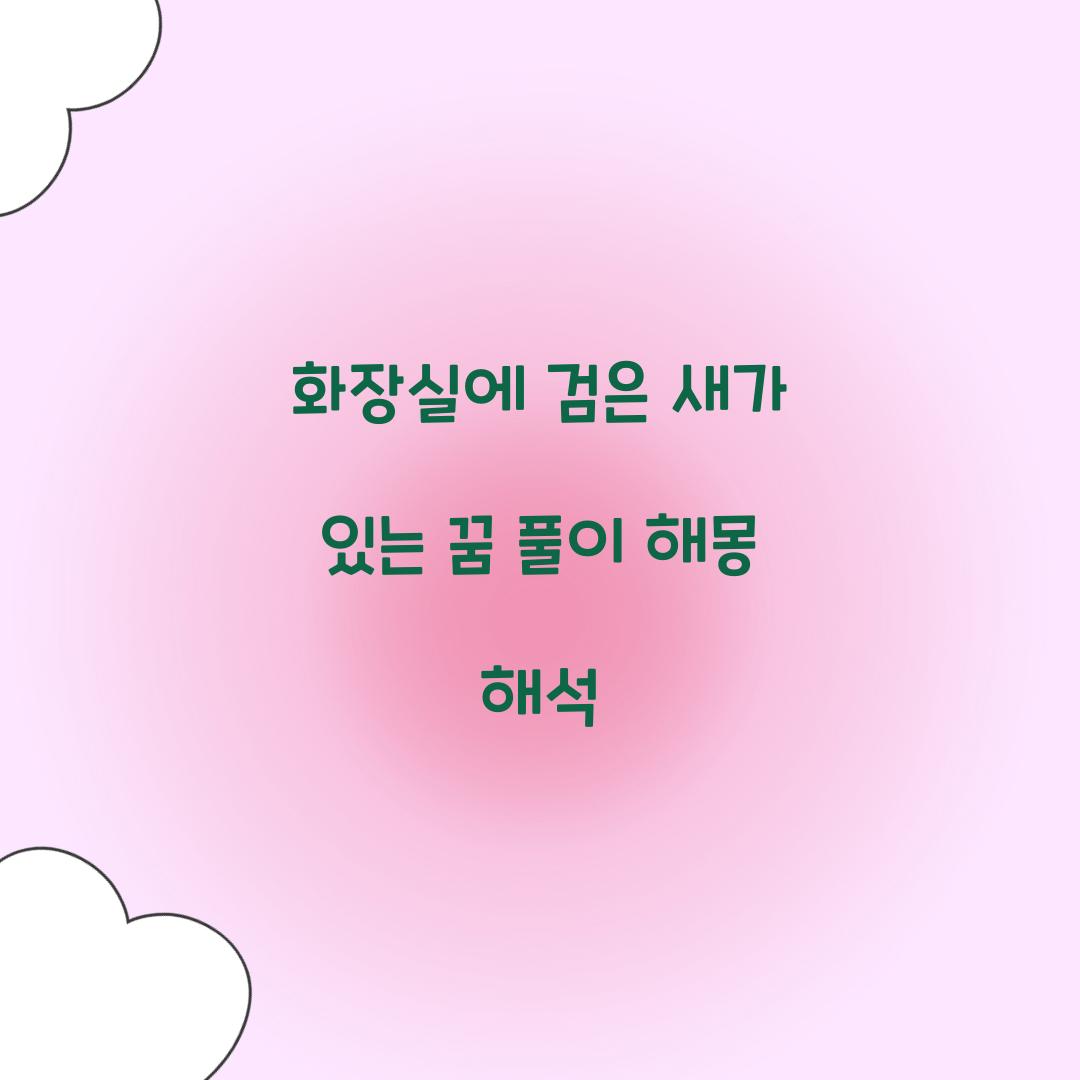 화장실에 검은 새가 있는 꿈 풀이 해몽 해석