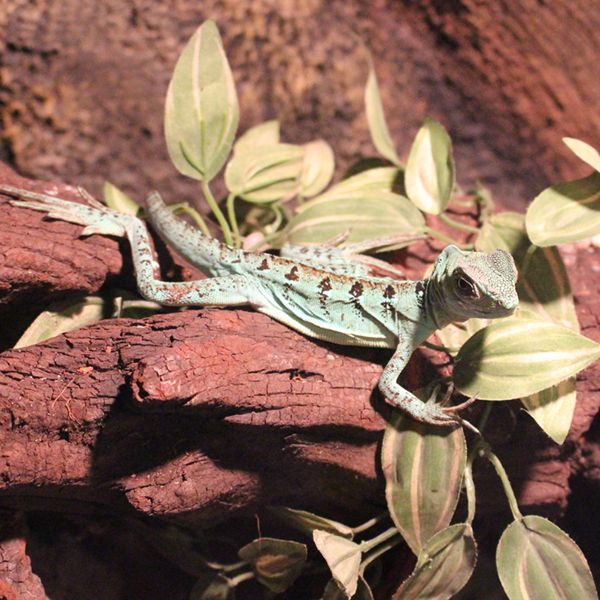 대전 아쿠아리움