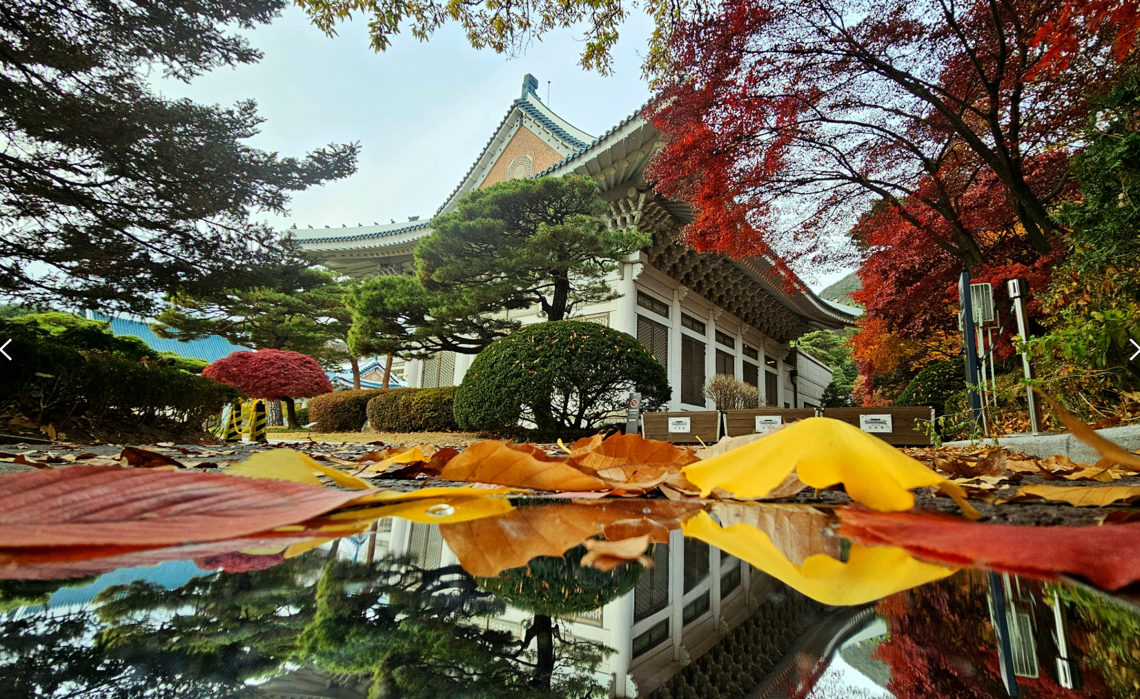 2025 청와대 밤마실&amp;#44; 6일간의 특별한 개방 봄밤 특별한 산책 예약 시작