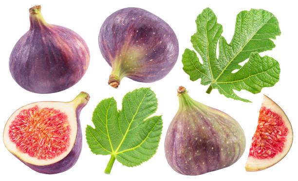 무화과 영양성분 분석에 관한 이미지