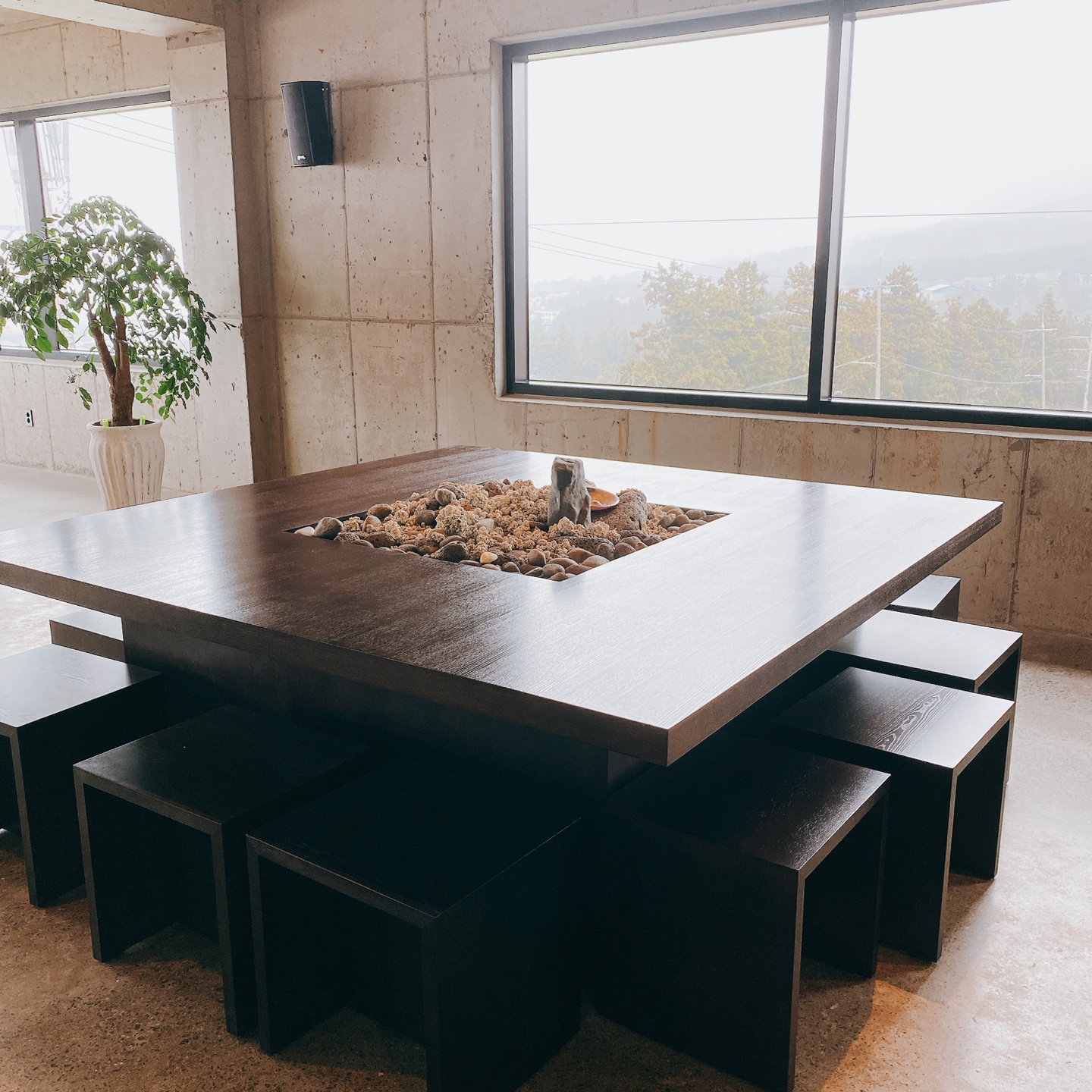 제주 신비마을 도깨비도로 벚꽃명소 레크레 카페