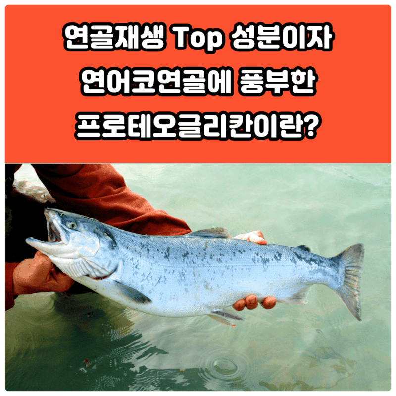 프로테오글리칸