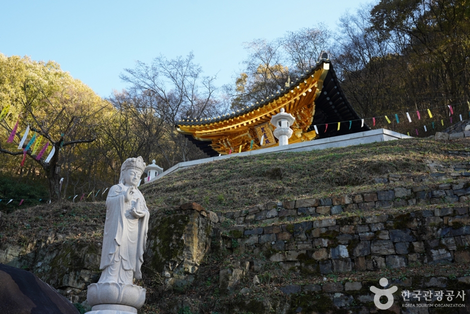 함안 가볼만한곳 베스트10