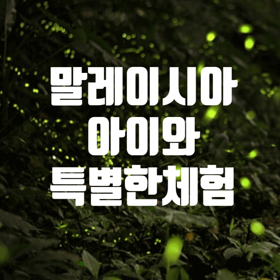 말레이시아체험