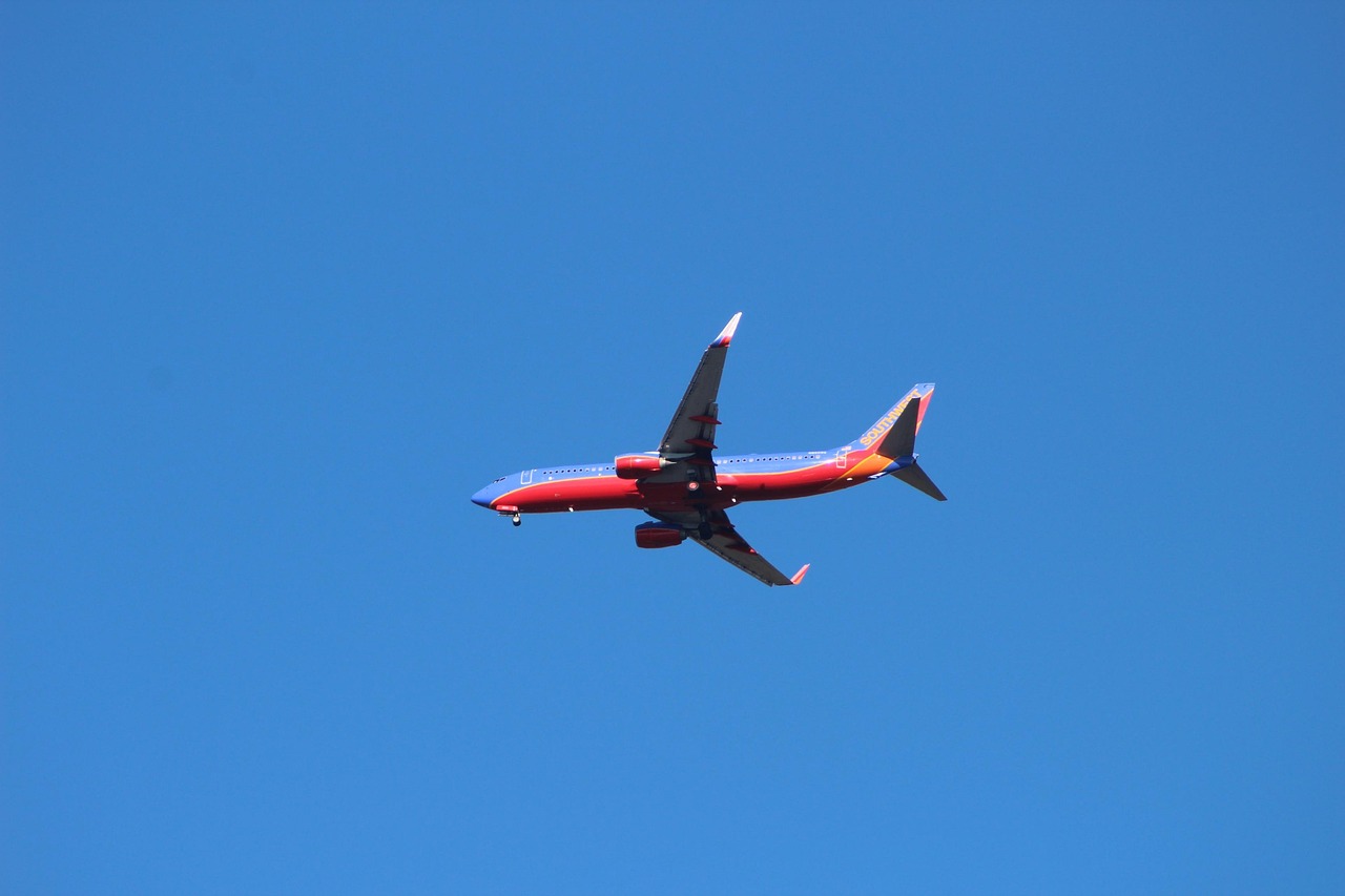 출장 관련 비행기 사진