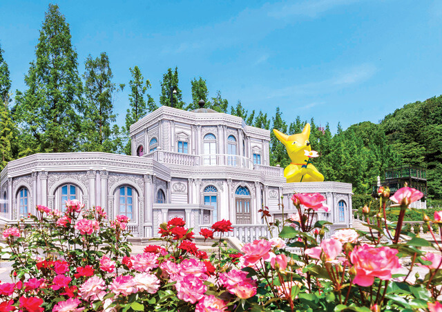 2025 전국 장미축제 Best 5