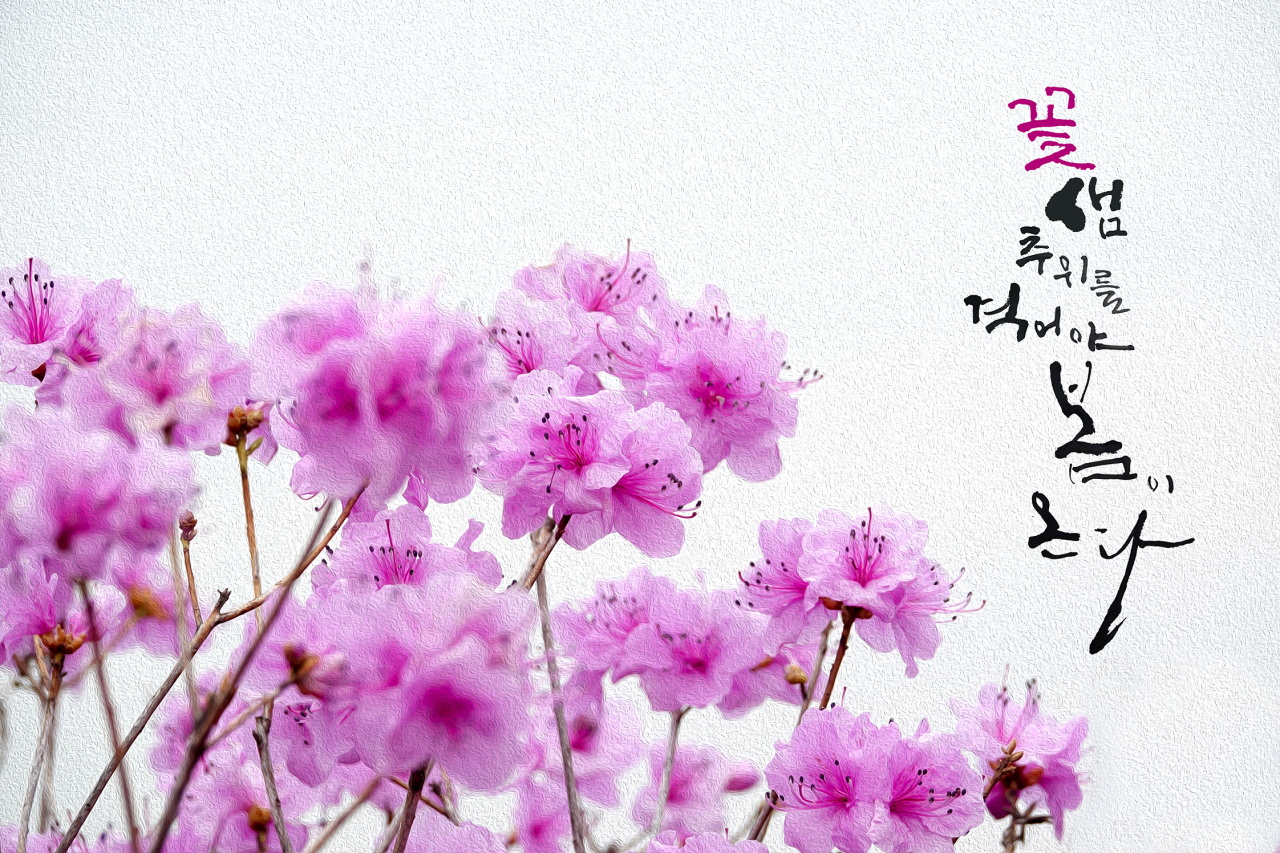 진달래와-봄